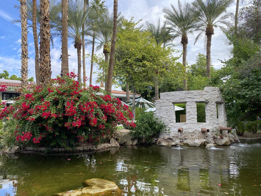 Pond with Mini-Waterfall at The Scott Resort and Spa, Scottsdale